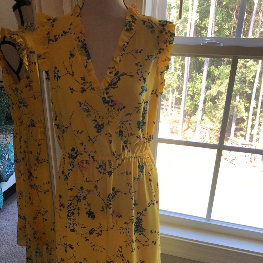Ann Taylor LOFT NWT Size 6